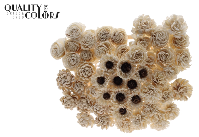 Shola Flower Mix on stem Natural