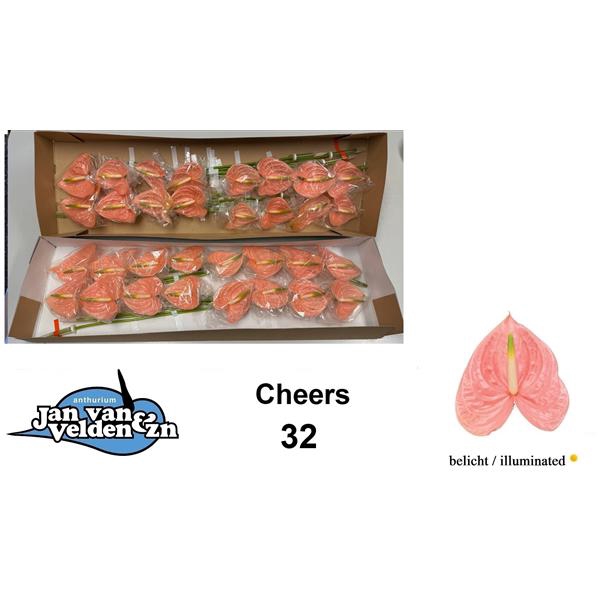 <h4>Anth A Cheers 11 cm X32 Jan van Velden</h4>