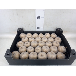 Decoratieve materialen   ...H%