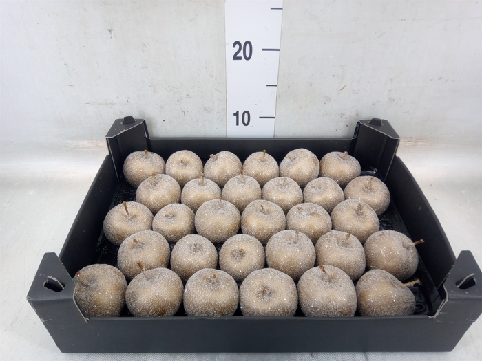 <h4>Decoratieve materialen   ...H%</h4>