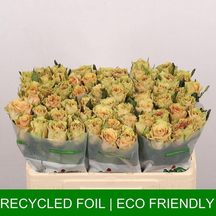 <h4>Caramel Macchiato</h4>