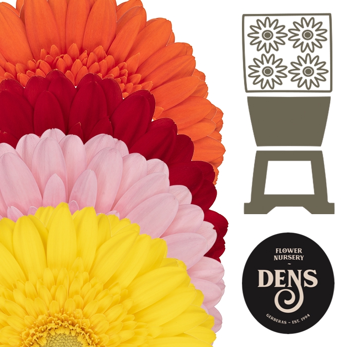 <h4>Germini Mix 4 kleuren per kaart Diamond</h4>