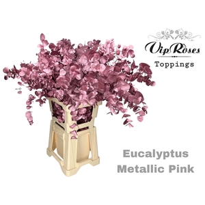 EUCA CINEREA METALLIC PINK 300GR