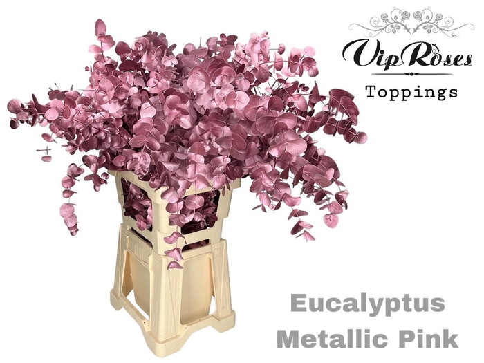 <h4>EUCA CINEREA METALLIC PINK 300GR</h4>