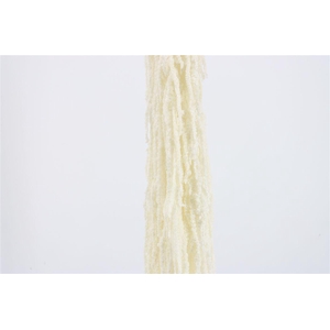 Pres Amaranthus Caud Bleached Bunch