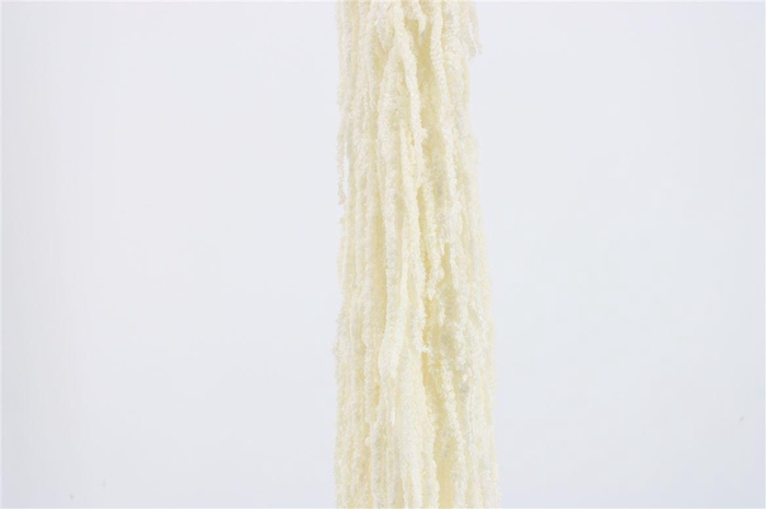 <h4>Pres Amaranthus Caud Bleached Bunch</h4>