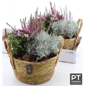 ARR TUINPLANTEN