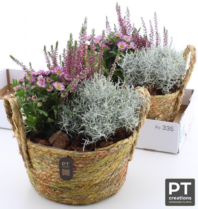 <h4>ARR TUINPLANTEN</h4>