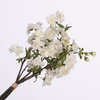 CHERRY BLOSSOM BUNDLE CREAM BK77000 L40