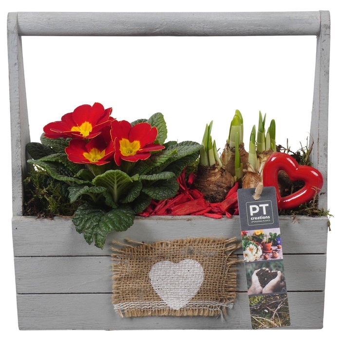 <h4>PTVO3619 Arrangement Valentine Outdoor in houten bak</h4>