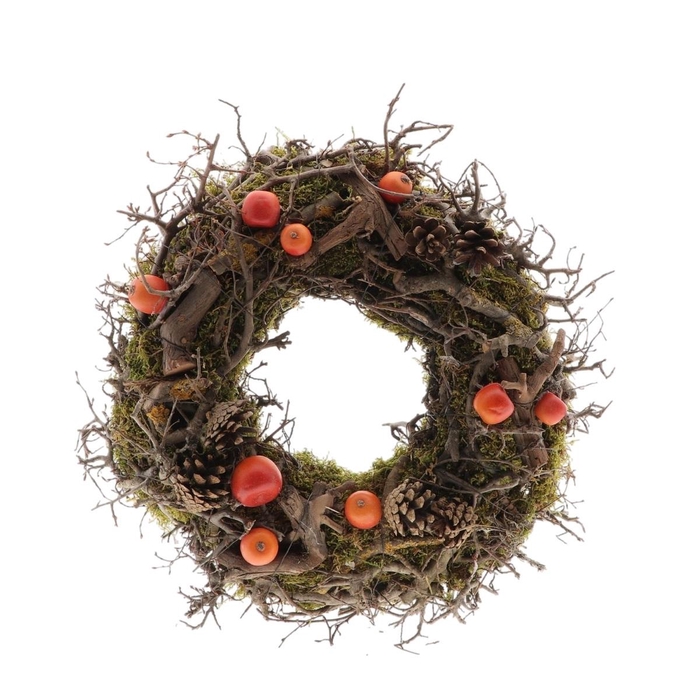 <h4>Promo d30cm Bonsai Dekra</h4>