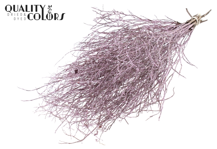 Huckelberry per bunch Metallic Pink