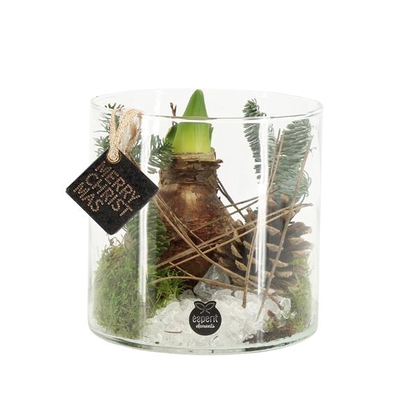 <h4>61702: X-mas arrangement</h4>