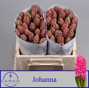 HYAC JOHANNA