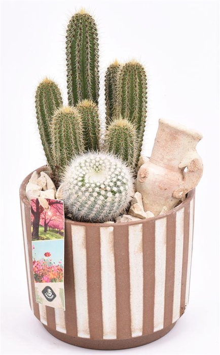 <h4>Keramiek safari look 14cm</h4>