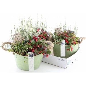 ARR TUINPLANTEN