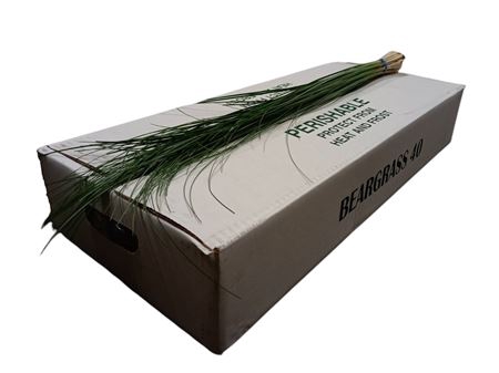 BEARGRASS X40