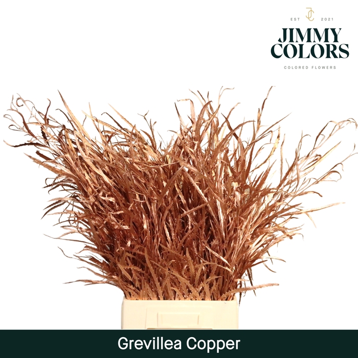 <h4>Grevillea (bunch) Copper</h4>