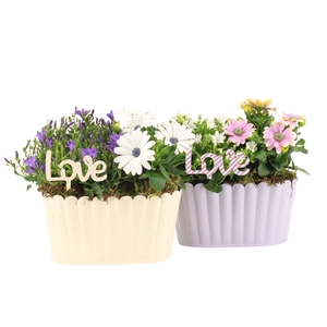 21744: Love outdoor arrangement