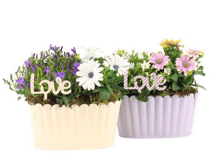 <h4>21744: Love outdoor arrangement</h4>