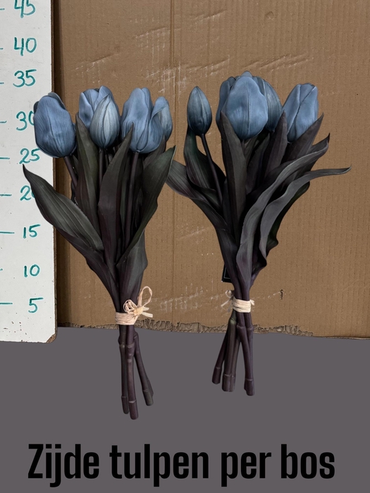 <h4>HUIS EN TUINDECO H%</h4>