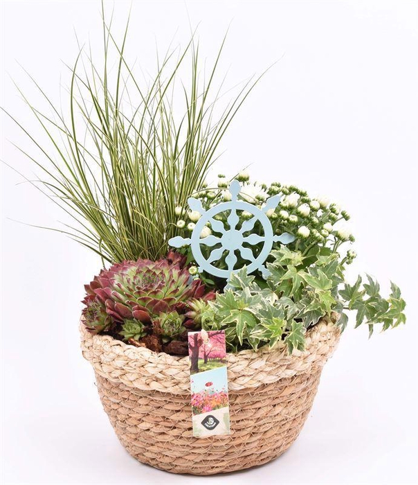 <h4>Jute mand met rand 23cm</h4>
