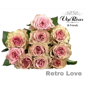 R GR RETRO LOVE!