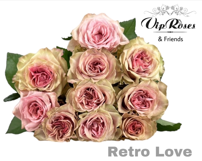 <h4>R GR RETRO LOVE!</h4>