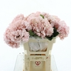 Hydr M Light Pink Premium 60-18