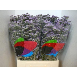 Lim Saf Classic Blue