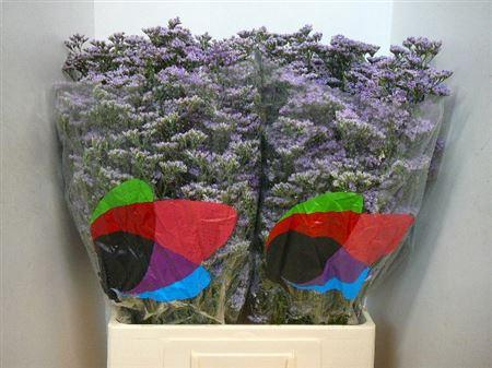 <h4>Lim Saf Classic Blue</h4>