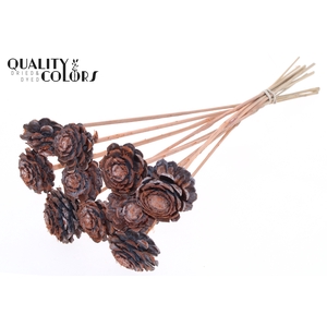 Pine cone cut 5-7cm on stem Frosted Salmon