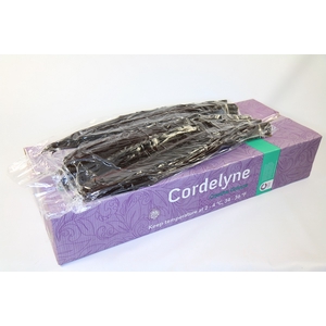 Cordyline Black Tie VP