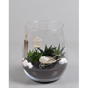 Glas Alzada groot met Arrangement minituin