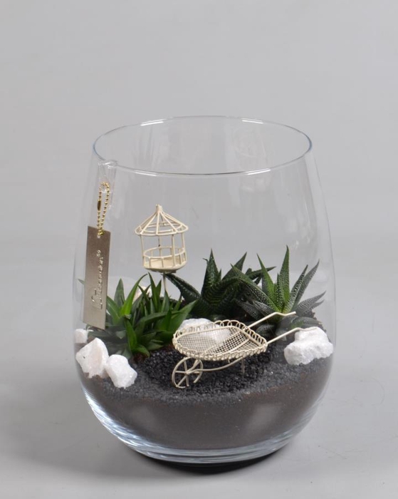 <h4>Glas Alzada groot met Arrangement minituin</h4>