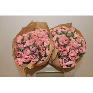 Anem Marianne Powder Salmon