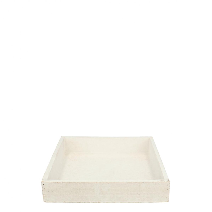 <h4>Tray 20*20*4cm</h4>
