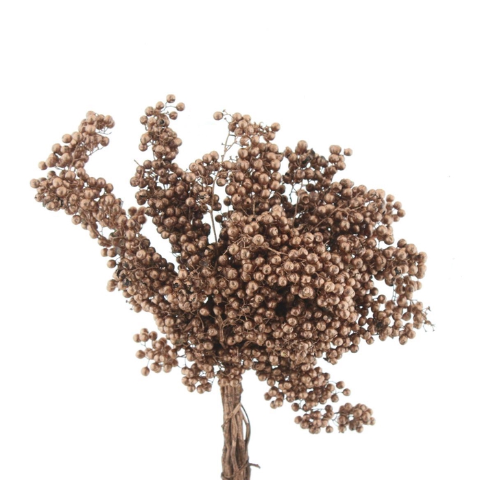 <h4>Dried Pepper Berries Copper</h4>