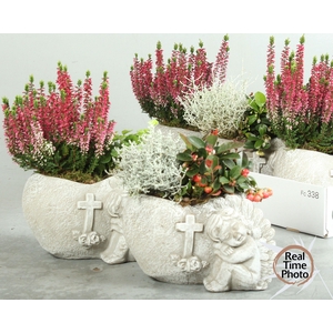 ARR TUINPLANTEN