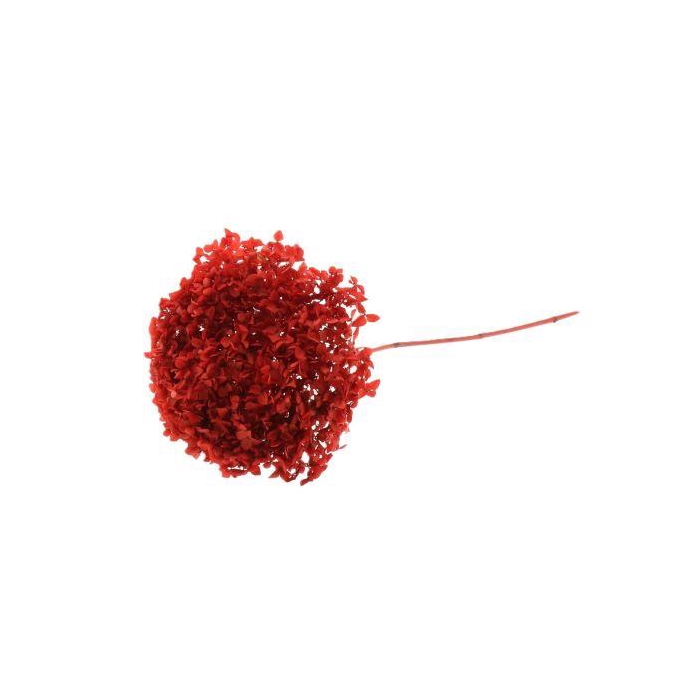 <h4>Branch Hydrangea L70D23</h4>