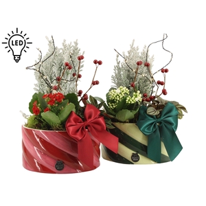 61777: X-mas arrangement met LED