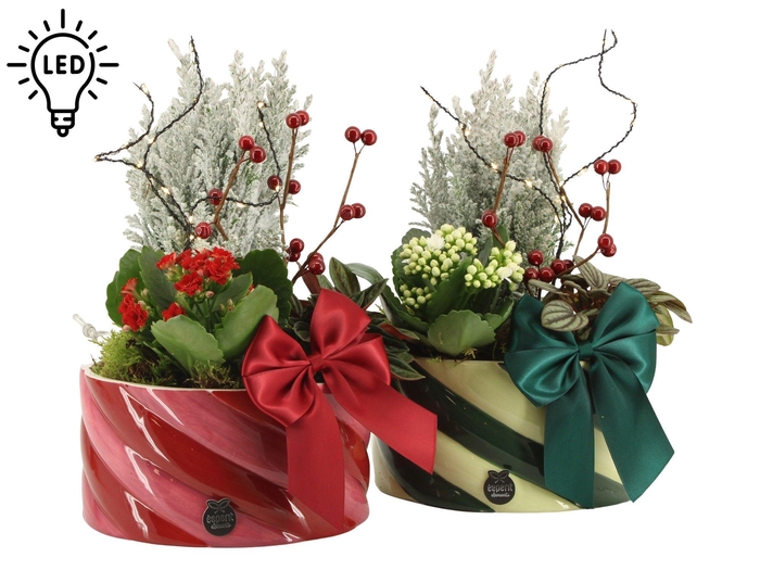 <h4>61777: X-mas arrangement met LED</h4>