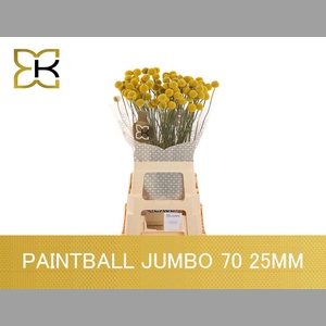 CRAS PAINTBALL JUMBO