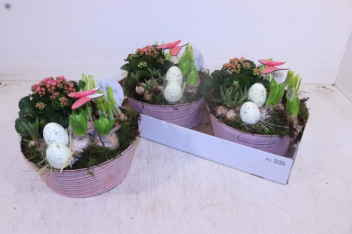 <h4>ARR PL IN SCHAAL</h4>