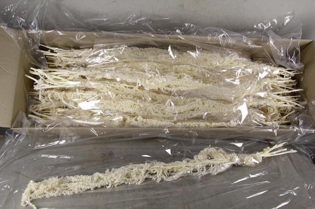 <h4>PF Amaranthus Hang Bleach Bs</h4>