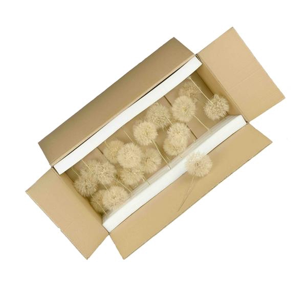 <h4>Dandelion Natural</h4>