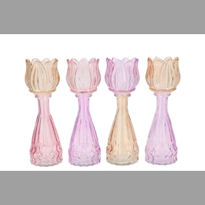 Bicolore Dreamy Pastel Mix Tulip Vase Ass 7x22cm Nm