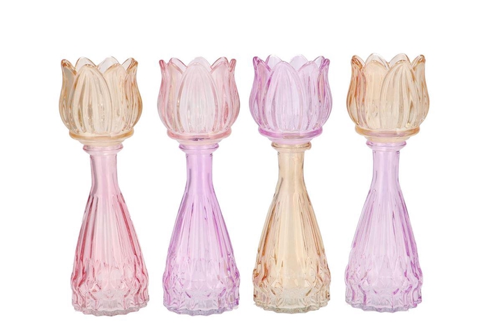 <h4>Bicolore Dreamy Pastel Mix Tulip Vase Ass 7x22cm Nm</h4>