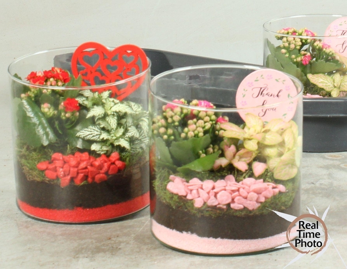 <h4>ARR KAMERPL</h4>