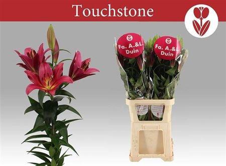 <h4>Li Ot Touchstone</h4>